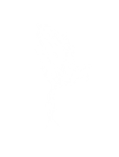 BAIT RLGN PTY LTD