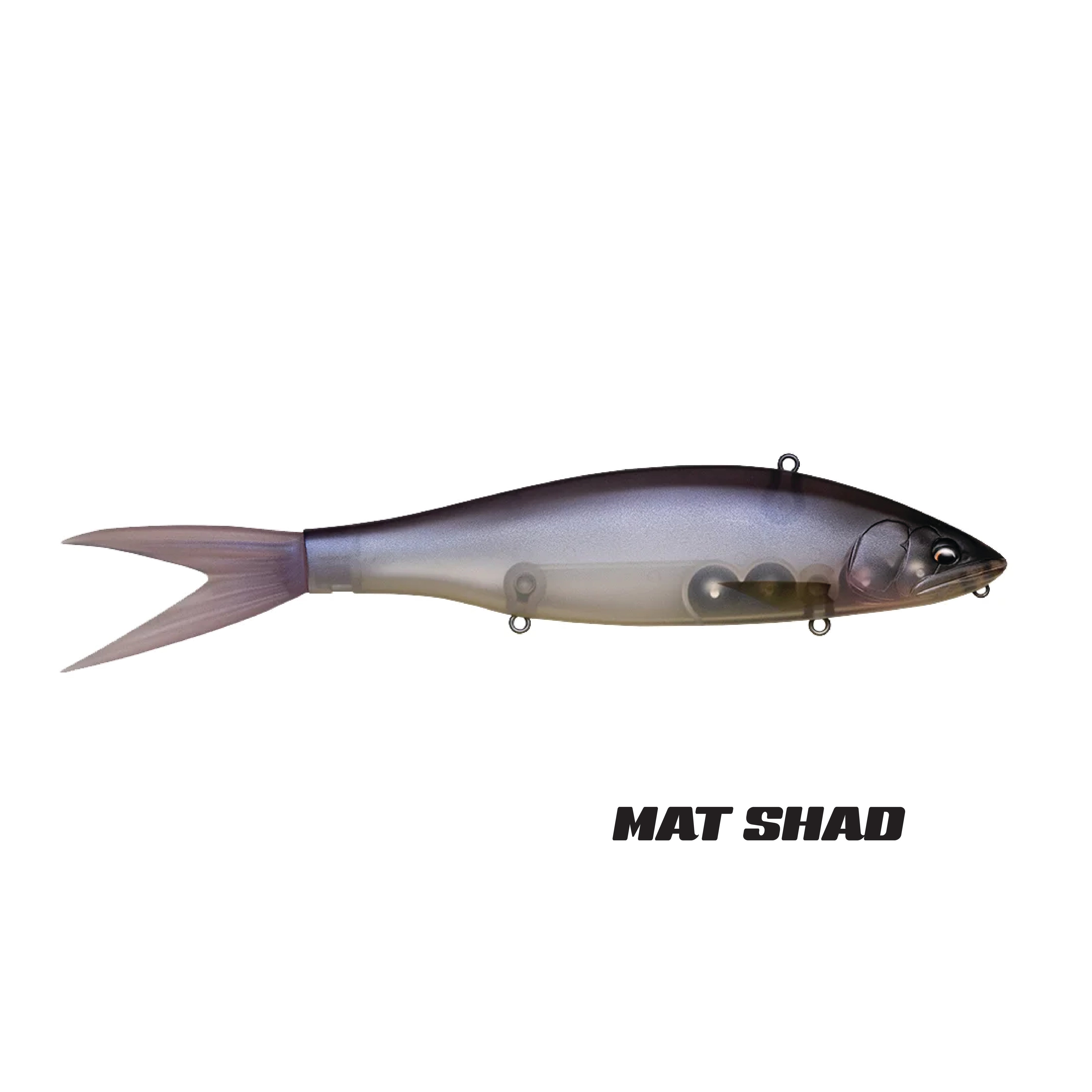 FISH ARROW x DRT VT-JACK 230 LOW