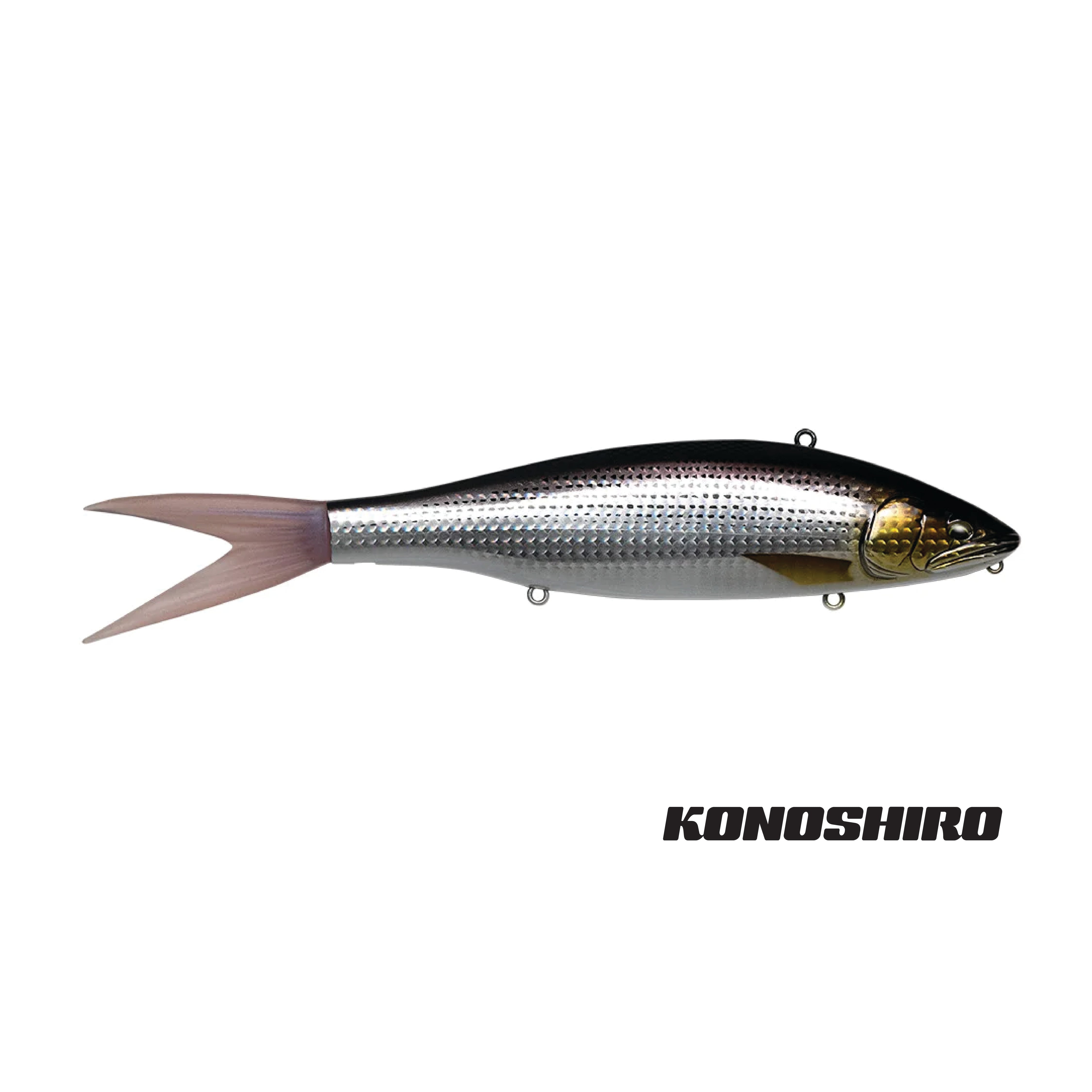 FISH ARROW x DRT VT-JACK 210