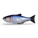 NATES BAITS 7.5-INCH SHAD