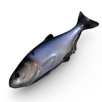 NATES BAITS 7.5-INCH SHAD