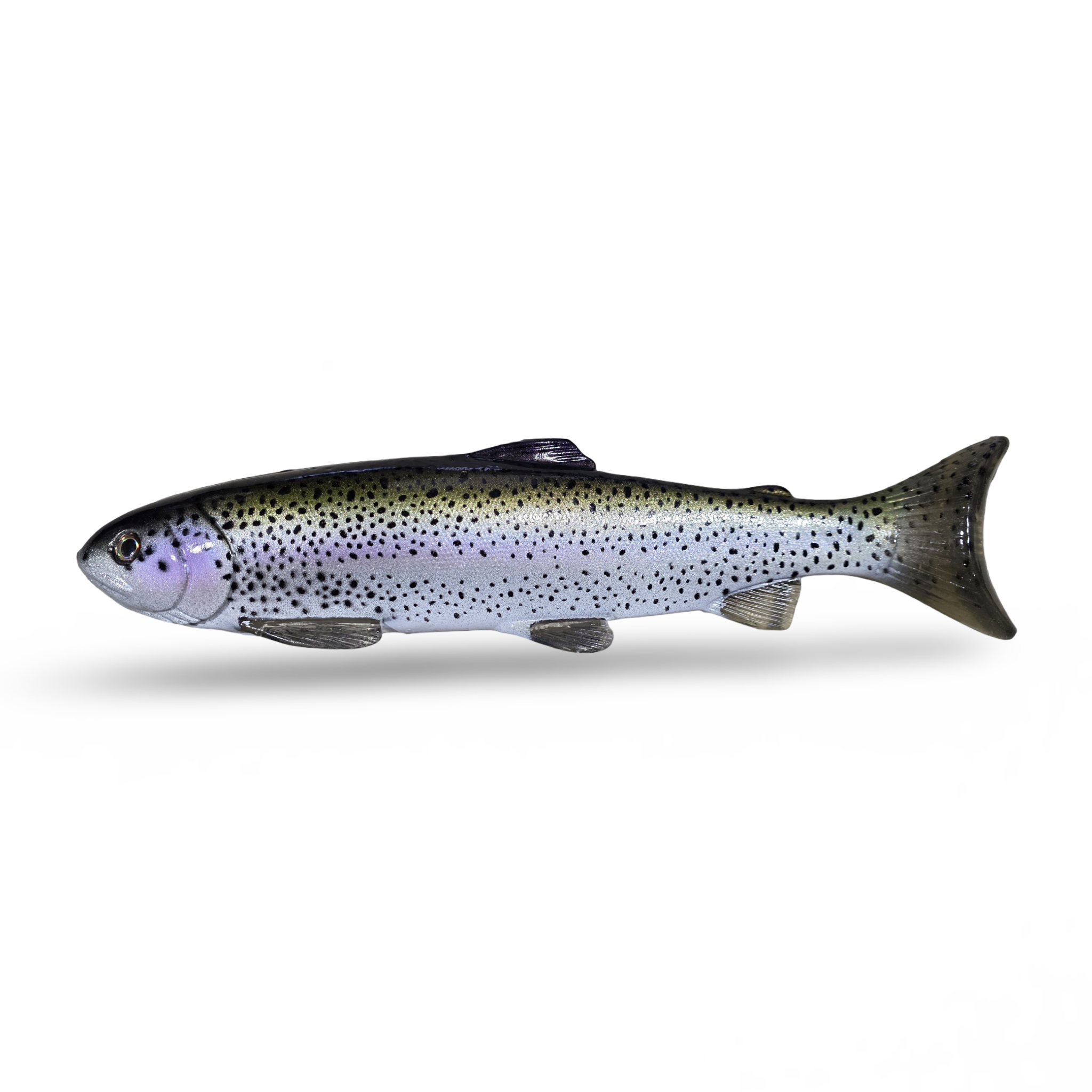 NATES BAITS 12-INCH TROUT