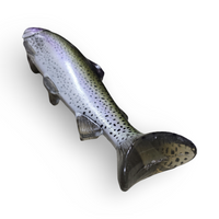 NATES BAITS 12-INCH TROUT
