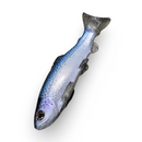 NATES BAITS 7.5-INCH TROUT