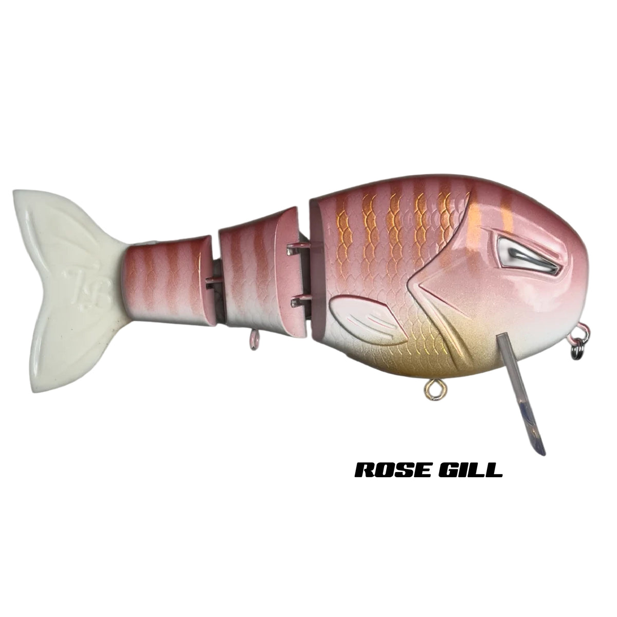 WAKE WALKER LT