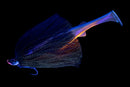 FLUFFBALL ELITE X RAIJIN SHAD 220